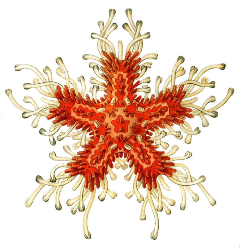 Bio Editors Barnstar