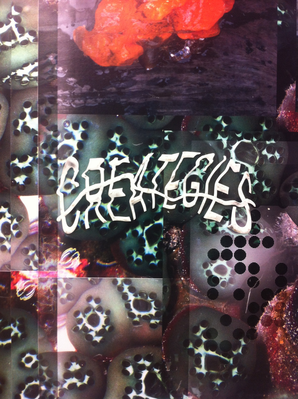 Dan Keller Captcha
