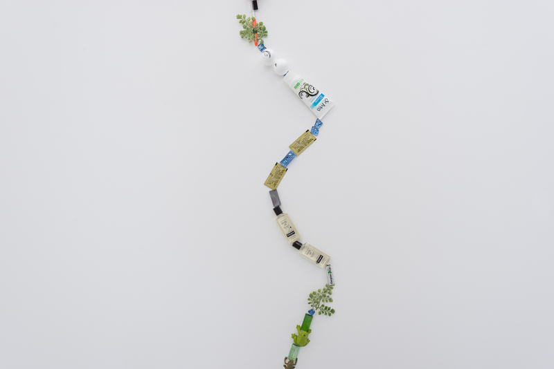 WEC TCR Carson Fisk Vittori, Plan for a Pond   Lagoon, 2015 CU