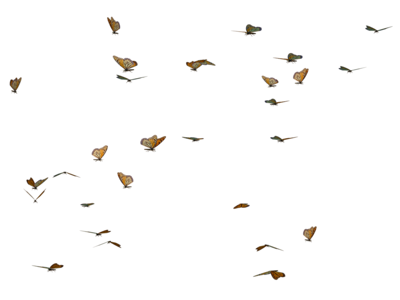 Butterfly swarm 02 png stock by jumpfer stock d7wwdyc