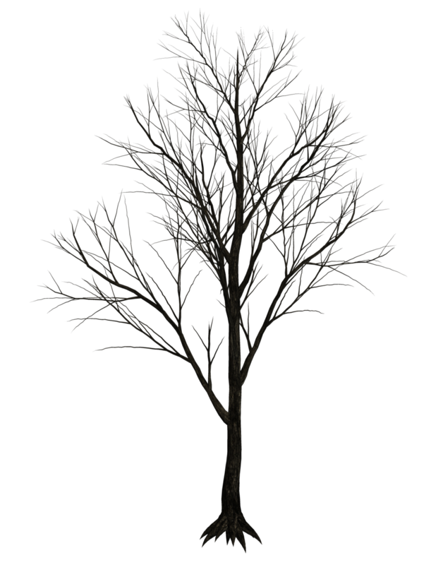 Dark trees png stock 07 by jumpfer stock d6vut39