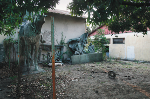 Picture 12